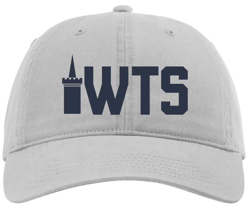 Grey WTS Dad Hat