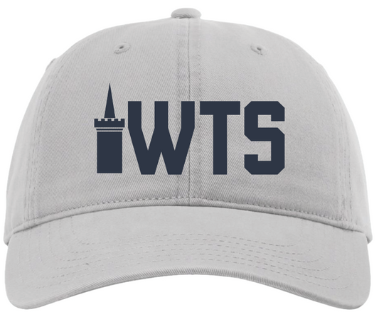 Grey WTS Dad Hat